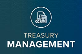 Treasury Management