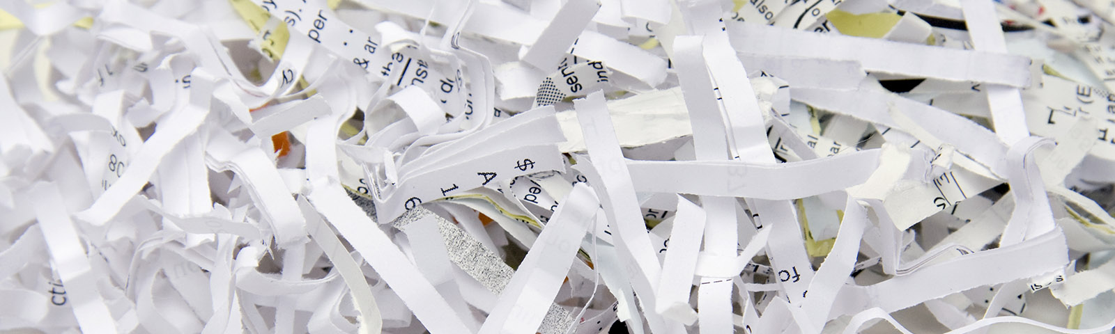 Strips of shredded paper