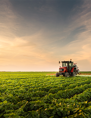 A red tractor spraying in rows of plants.