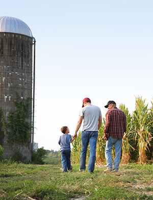 Family and silo
