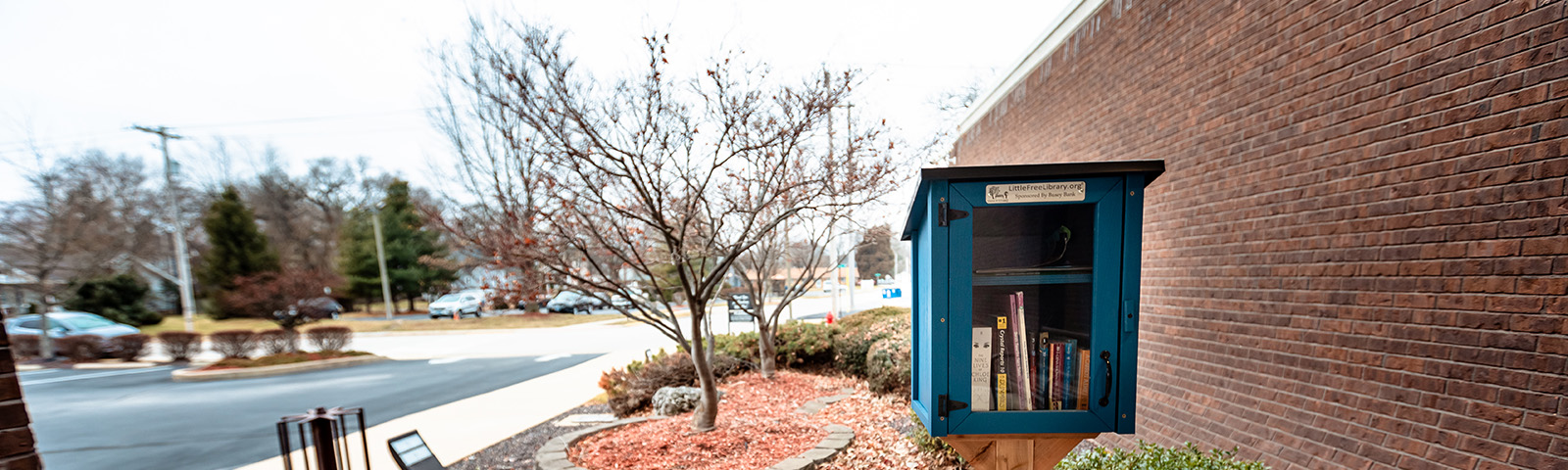 Little Free Library box outside Downtown Edwardsville